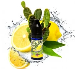 Koncentrāts e-šķidruma Big Mouth Retro Juice, Lemon and Cactus, 10ml, BM02610